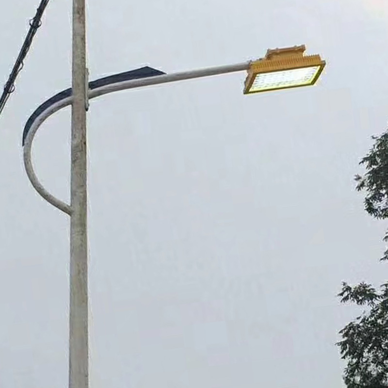 Explosion-proof street light Case