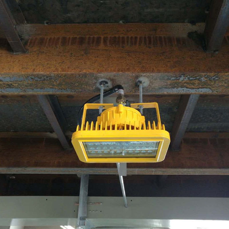 Explosion proof lamp 70W Case