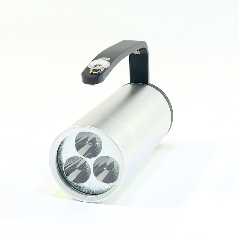 RJW7102  EXPLOSION-PROTECTED P