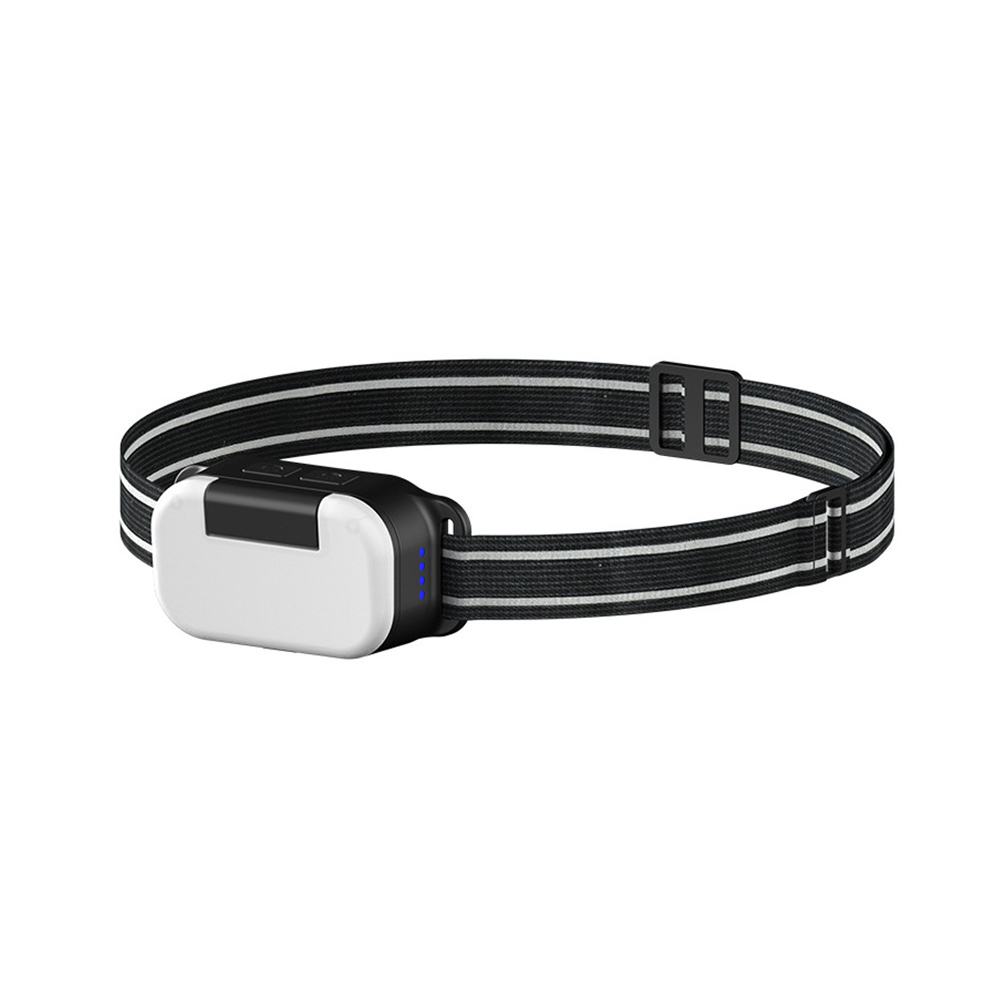 Dual Light Source Head Lamp